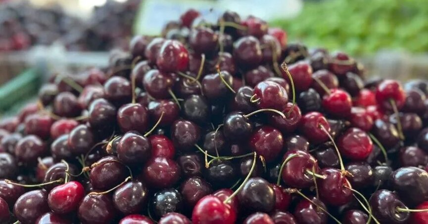 Buğdayda yeni rekor kapıda